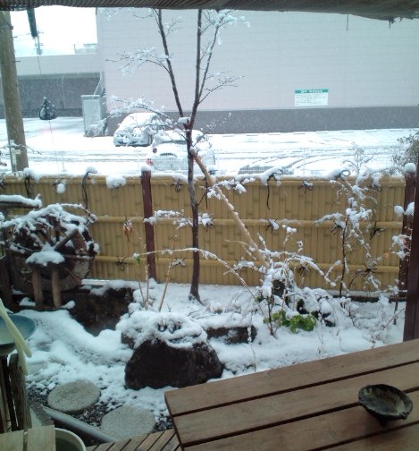 20110214160423.jpg